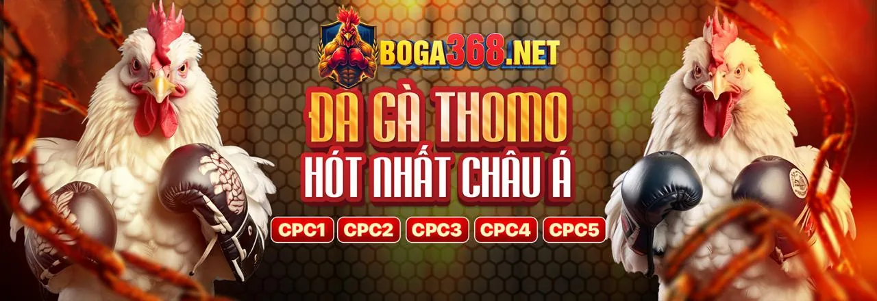 Đá Gà Trực Tuyến Hấp Dẫn tại Win79